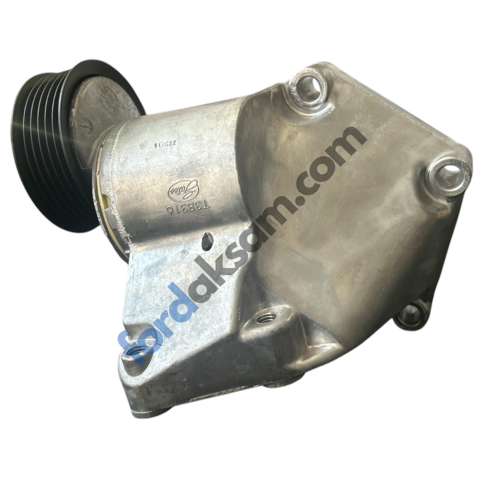 INA 534003210 | Ford Focus 1998-2002 V Kayış Gergi Kütüğü Komple